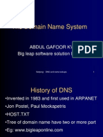 The Domain Name System: Abdul Gafoor KV Big Leap Software Solution PVT LTD
