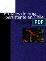 Frutales de Hoja Persistente en Chile