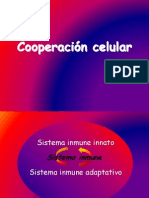 Cooperacion Celular (Inmuno)