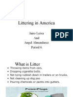 Llittering in America