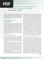 Stenotrophomona Maltophilia y Bulkorelia Cepacia. Mnadell 2009