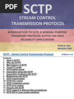 Overview of SCTP (Stream Control Transmission Protocol)