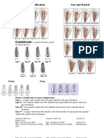 Vertucci Classification and More