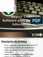 Software COBIT