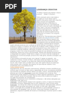 LIDERANÇA CRIATIVA