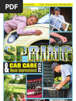 2013 Spring Home Improvement & Car Care Guide