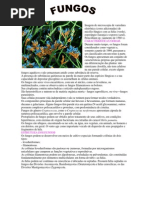 Trabalho Sobre Fungos