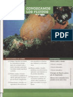 Presión en fluidos: principios de Pascal y Arquímedes