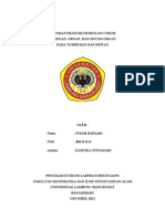 Download LAPORAN jaringan by Payung Merah SN136429325 doc pdf