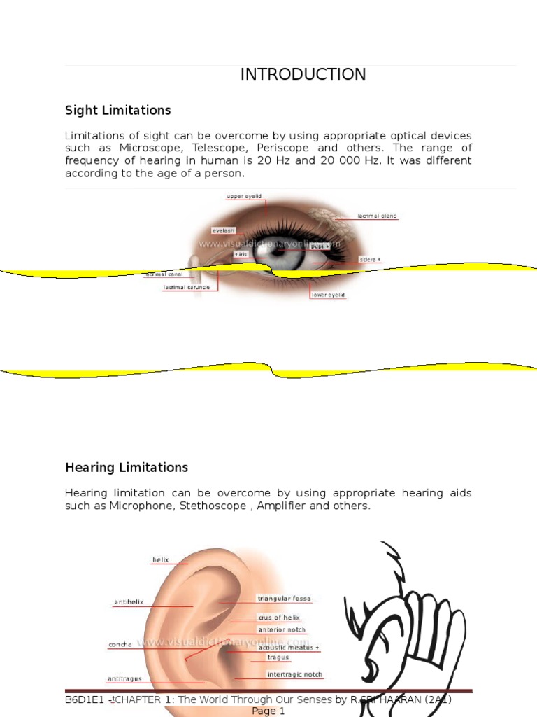 Technological Devices That Can Overcome The Limitations Of Sight And Hearing Pdf Telescope Hearing