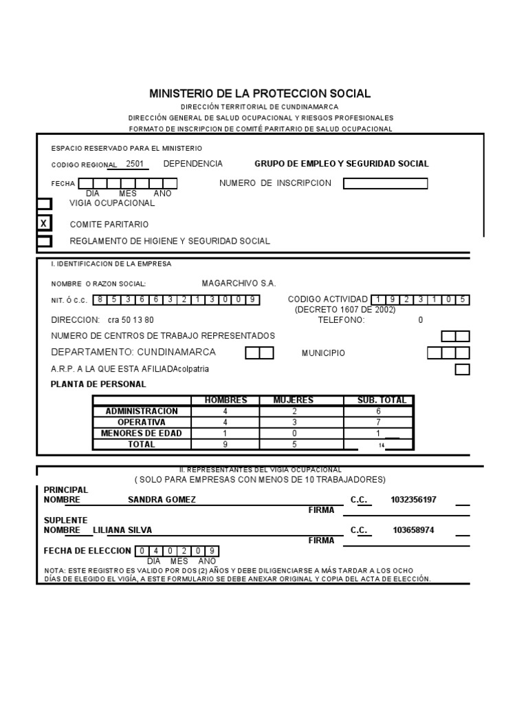 Formato Copaso | PDF
