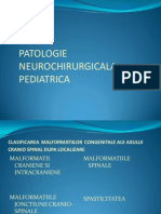 Patologie Neurochirurgicala Pediatrica Si Functionala ( malformatii congenitale)