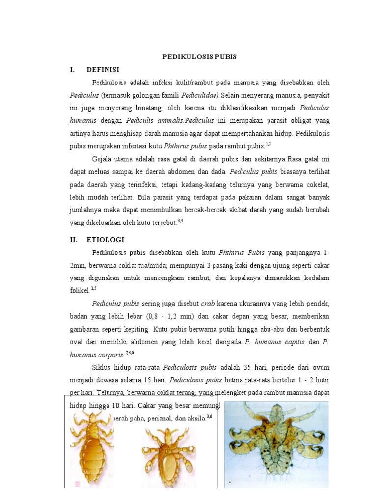 Porno video: Crazy Passion