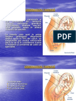 Disgravidia Tardivă 1