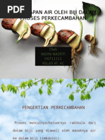 Download Peran Air Dalam Perkecambahan Biji by Bagas Maulana SN136477779 doc pdf