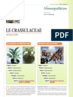 LE CRASSULACEAE 2°