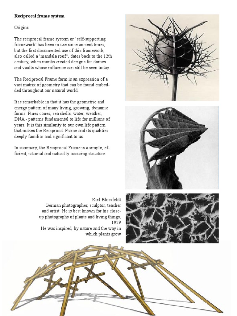Reciprocal Frame | PDF | Framing (Construction) | Dome