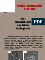 Penyakit Tanaman Oleh NEMATODA