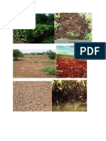 Types of Soil.doc