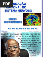 ORG. FUNCIONAL DO S.N. - NEURÔNIO- S.N.A. CMF II 2013(Portal)_20130311120258