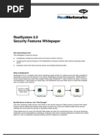 Realsystem 5.0 Security Features Whitepaper: Who Should Read This?