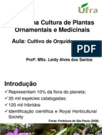 Plantas Medicinais e Ornamentais-Aula Cultivo de Orquideas-Atual