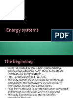 Week2 Theory PowerPoint: Energy Systems