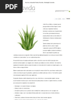 Aloe Vera_ a Maravilha Proibida _ PuraVida - Alimentação Consciente