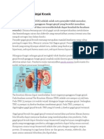 Download Penyakit Gagal Ginjal Kronik by YoLa Trias YuLiana kastiL SN136618424 doc pdf