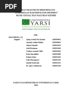 Download Mikro Urin  by cattle8 SN136624137 doc pdf