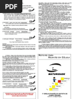 01 Etapa 4 Nada Pode Atrapalhar Nosso Caminho-LÍDERES