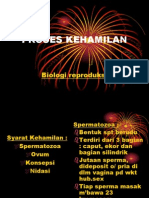 Proses Kehamilan