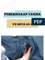 Pemeriksaan Vagina