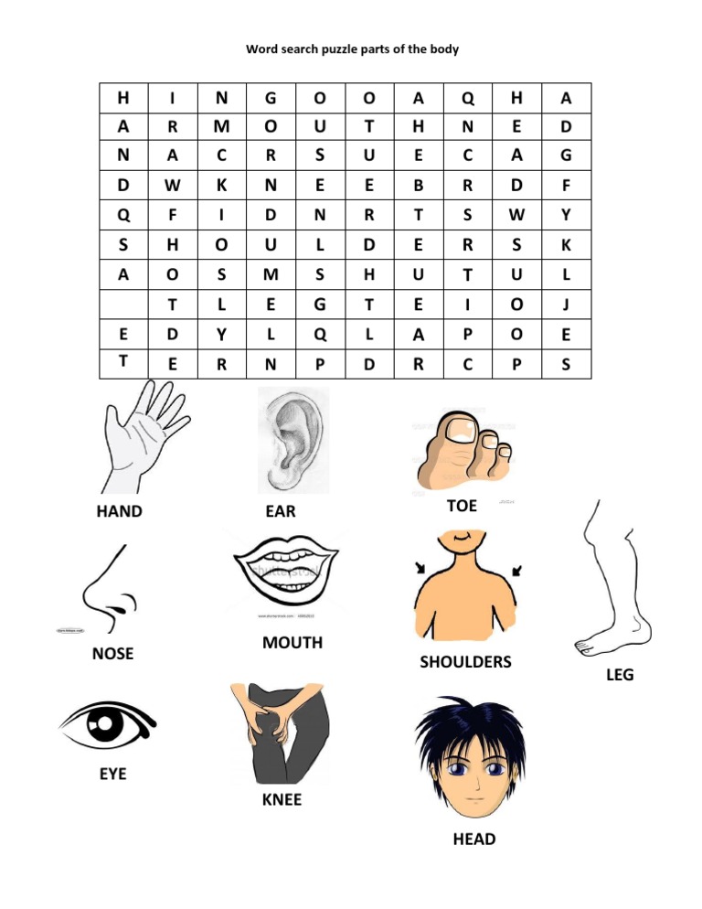 Body Parts Word Search Puzzle | PDF