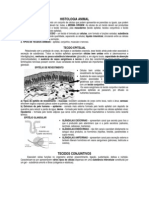 Histologia (1)