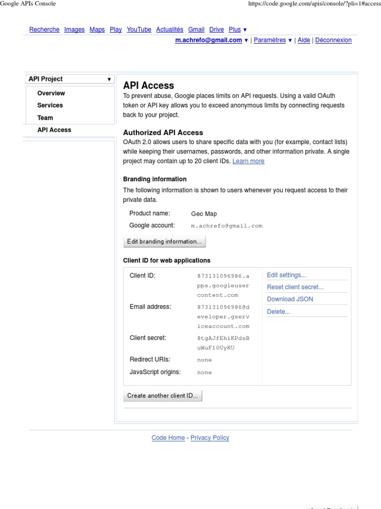 Google API Access and OAuth 2.0 Guide | PDF