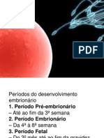 Embriologia Básica