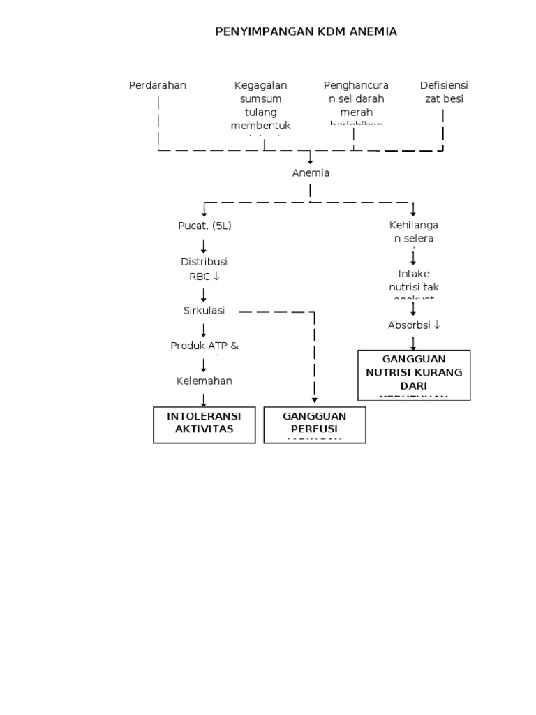Penyimpangan KDM Anemia | PDF