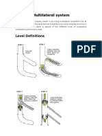 Multilateral System: Level Definitions