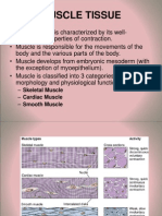 Muscle Tissue: - Skeletal Muscle - Cardiac Muscle - Smooth Muscle