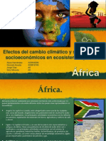 C C-África