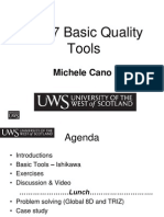 The 7 Basic Quality Tools: Michele Cano