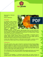 Calendula PDF
