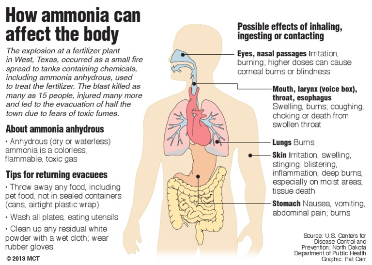 Texas Explosion How Ammonia Affects The Body PDF