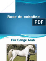 Rase de Cabaline