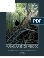 Manglares Mexico