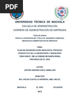Download Plan de Inversion Para Innovar Proceso Productivo Ebanisteria y Muebleria by ChiKita Lu SN136773134 doc pdf