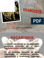 Esca Bios Is