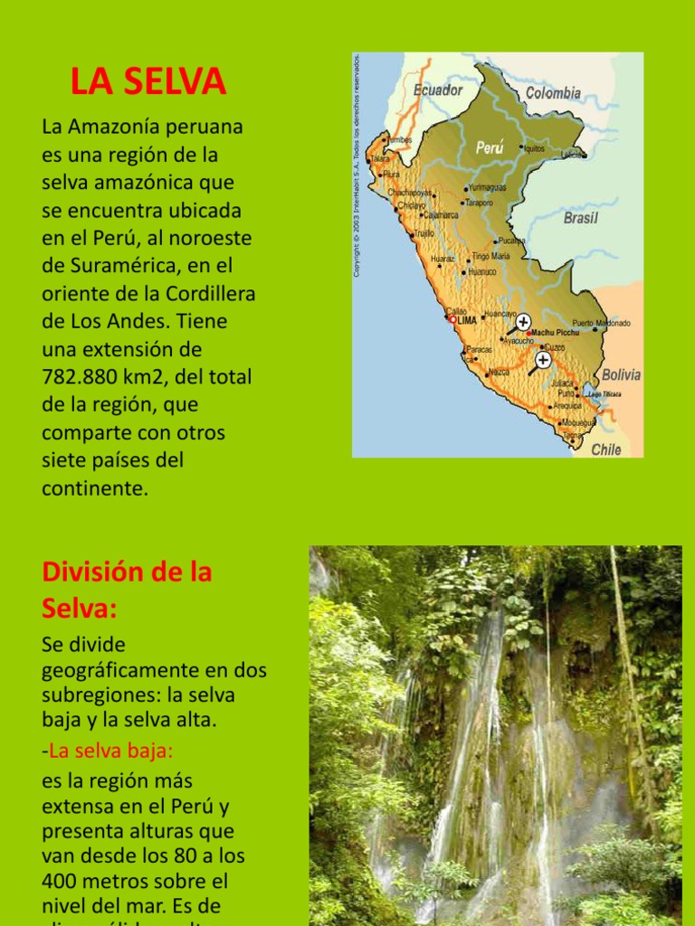 Diapositiva La Selva