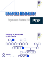 k30-k33 Genetika Molekular